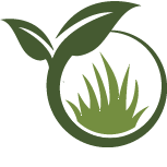 Lawn Overseeding Service Pros