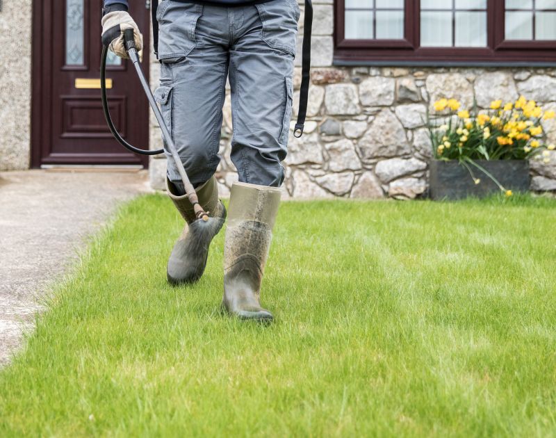 Lawn Fungus Treatment in Honolulu, HI