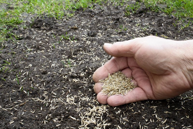 Lawn Seeding in Honolulu, HI