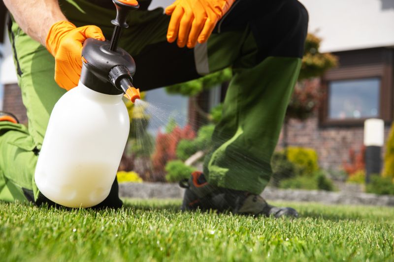 Lawn Weed Treatment in Rockwall, TX