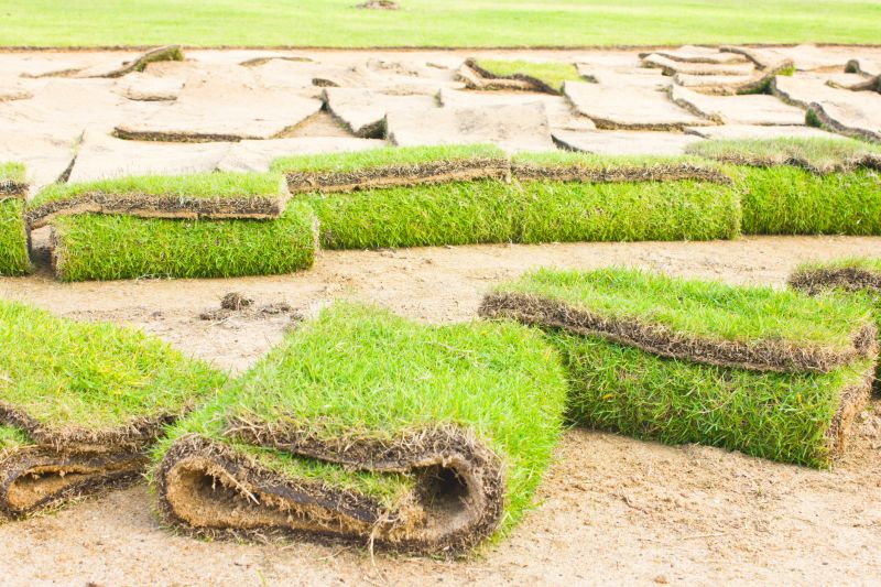 Sod Replacement in Ventura County, CA