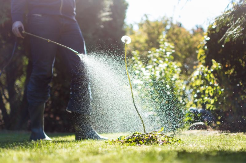 Weed Prevention Service in Aiken, SC