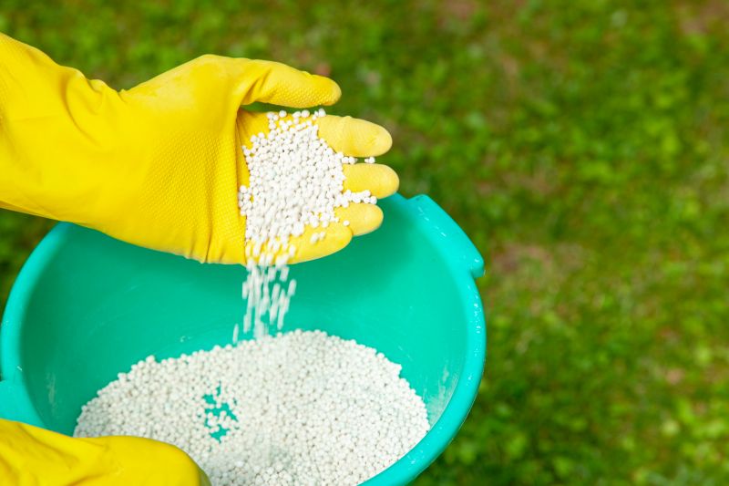 Yard Fertilization in Ventura County, CA