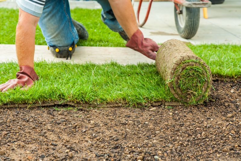 Bahia Sod Installation in Ventura County, CA