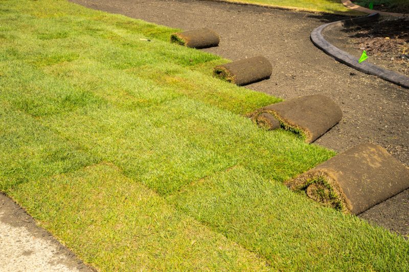 Bentgrass Sod Installation in Rockwall, TX