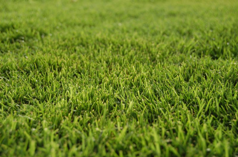 Bermuda Grass Installation in Aiken, SC