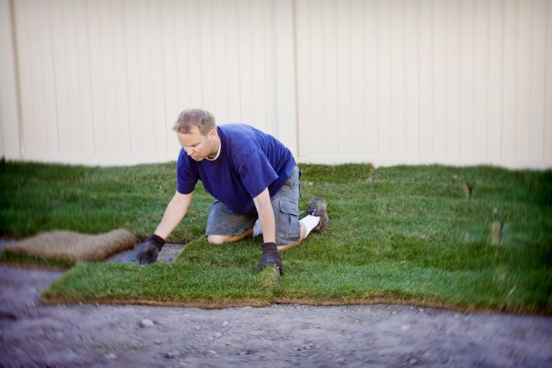 Centipede Sod Installation in Ventura County, CA