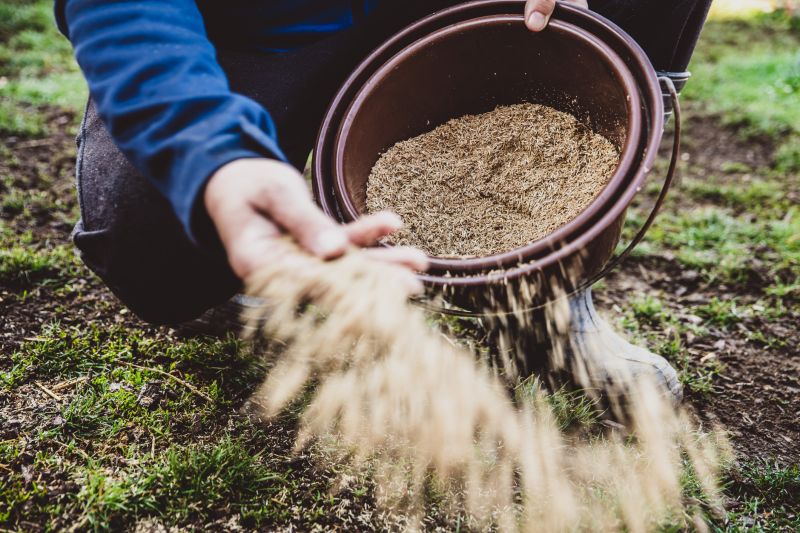 Commercial Grass Seeding in Honolulu, HI