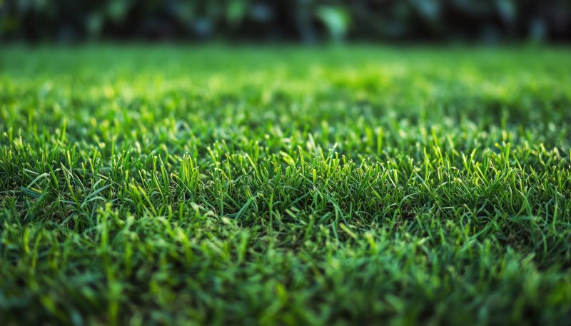 Commercial Sodding in Ventura County, CA