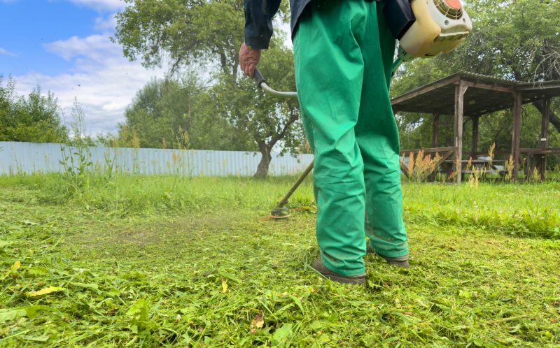 Crabgrass Removal in Aiken, SC