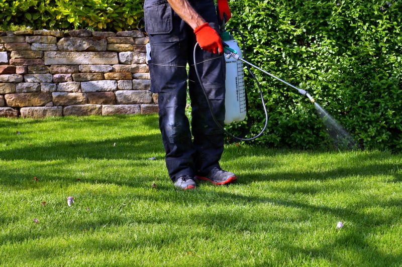 Crabgrass Removal in Ventura County, CA