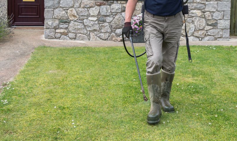 Crabgrass Removal in Ventura County, CA