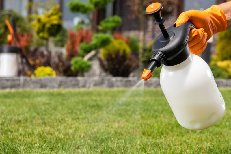 Fall Lawn Fertilizing in Ventura County, CA