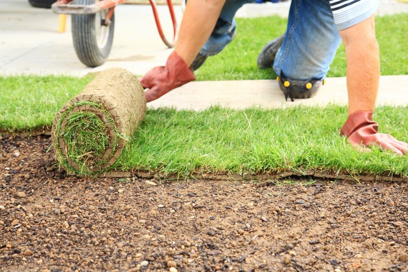 Fescue Sod Installation in Aiken, SC