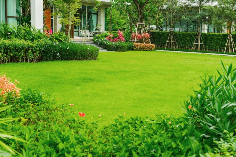 Grass Replacement in Ventura County, CA