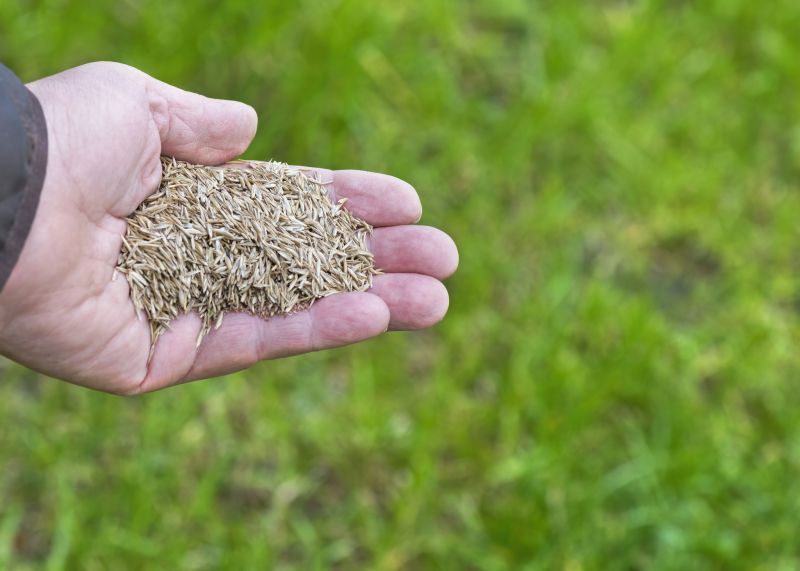 Grass Seeding Service in Ventura County, CA