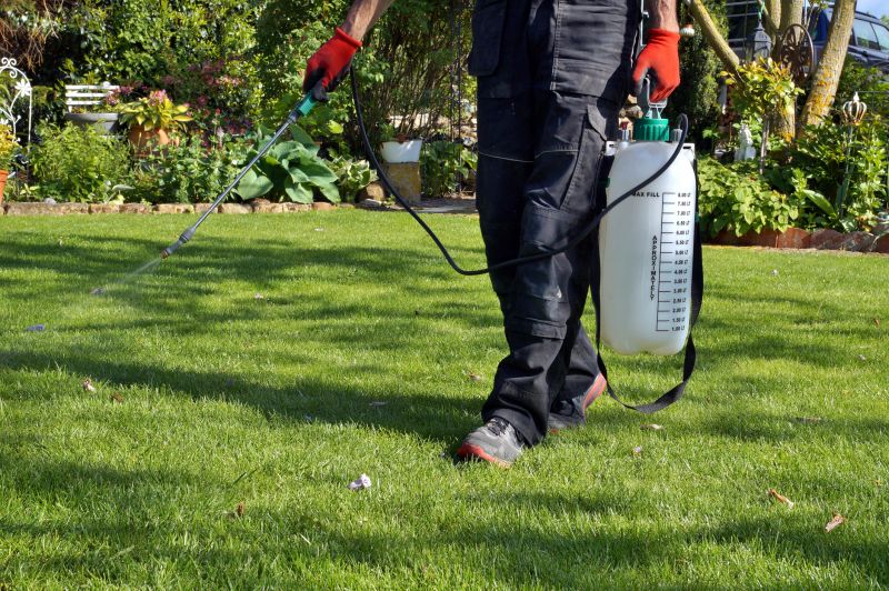 Grass Treatment in Ventura County, CA