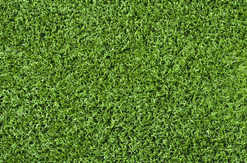 Lawn Enrichment in Ventura County, CA