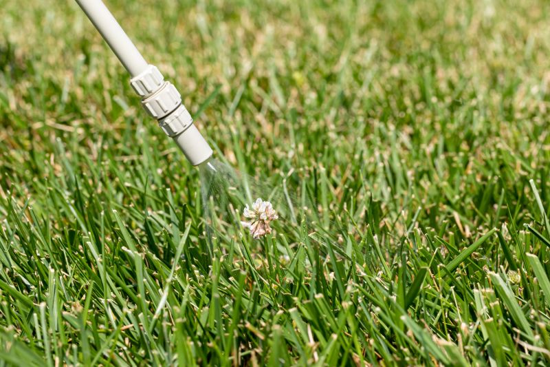 Lawn Herbicide Treatment in Ventura County, CA