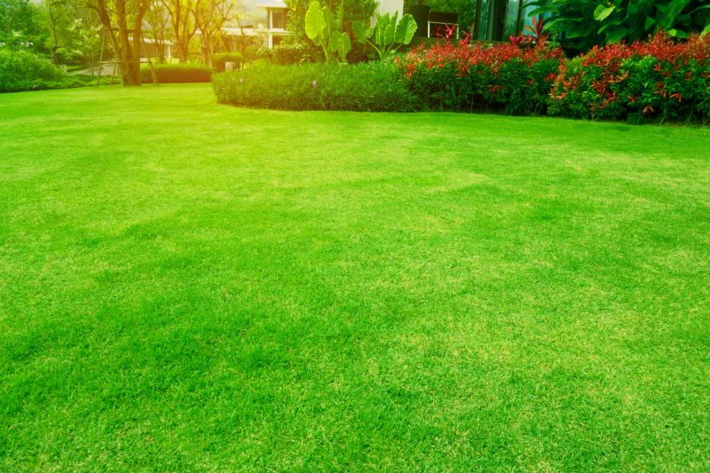 Lawn Replacement in Rockwall, TX