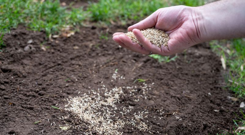 Lawn Seeding in Ventura County, CA