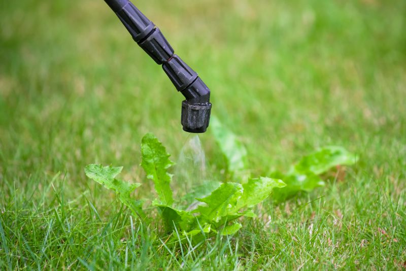 Lawn Spraying in Ventura County, CA
