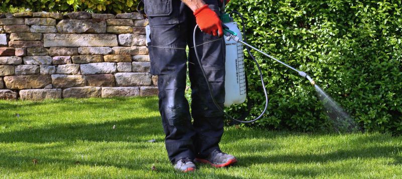 Lawn Weed Control in Ventura County, CA