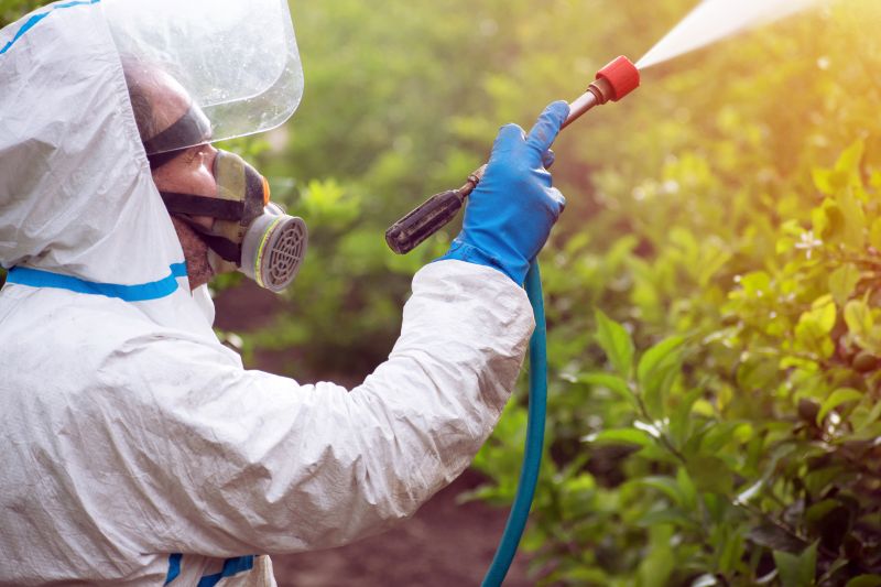 Lawn Weed Control in Ventura County, CA