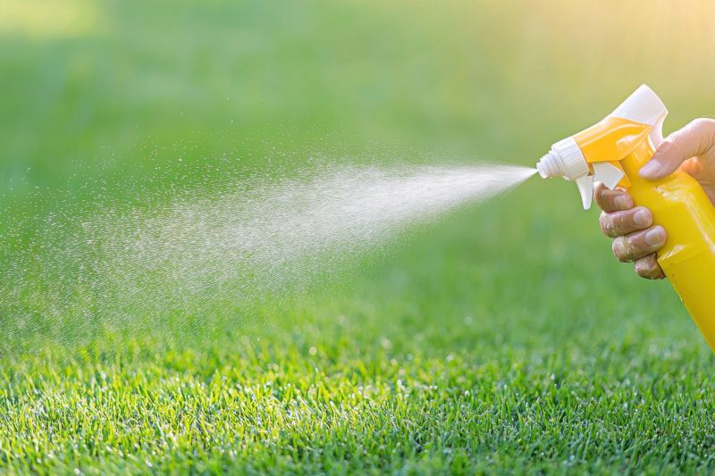 Lawn Weed Spraying in Aiken, SC