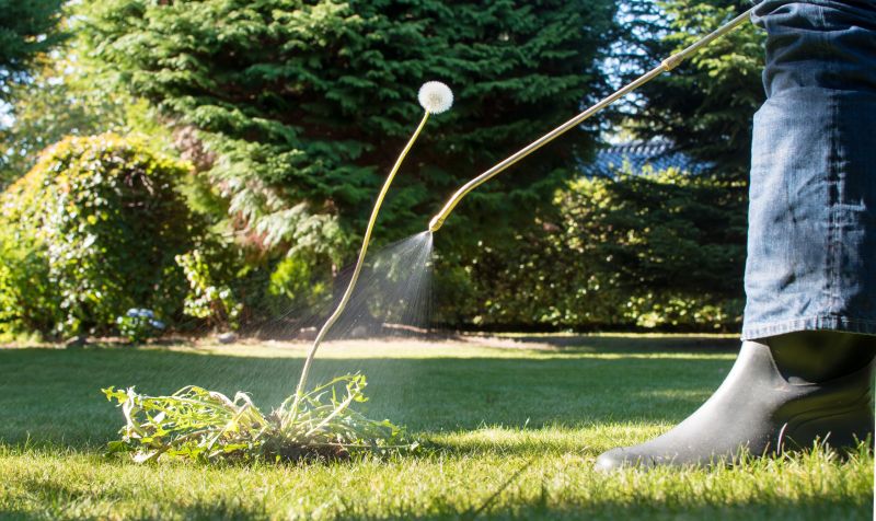 Lawn Weed Spraying in Rockwall, TX