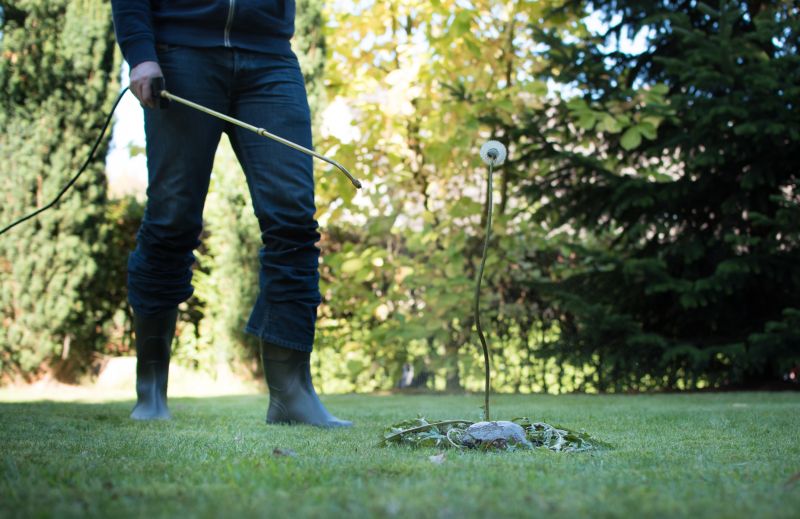 Lawn Weed Treatment in Ventura County, CA