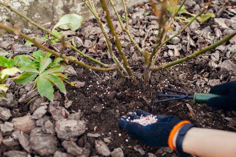 Residential Lawn Fertilizing in Ventura County, CA
