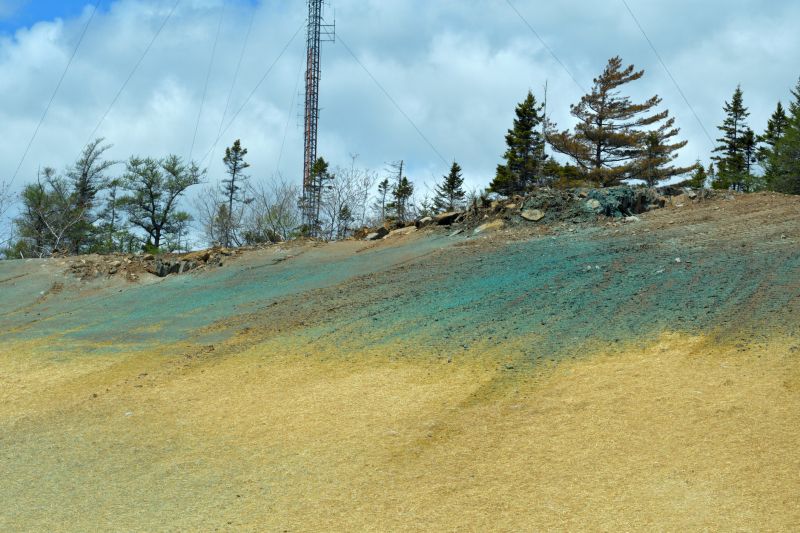 Slope Seeding in Ventura County, CA