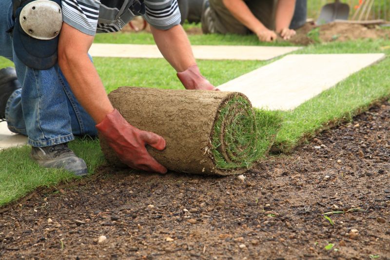 Sod Installation in Rockwall, TX