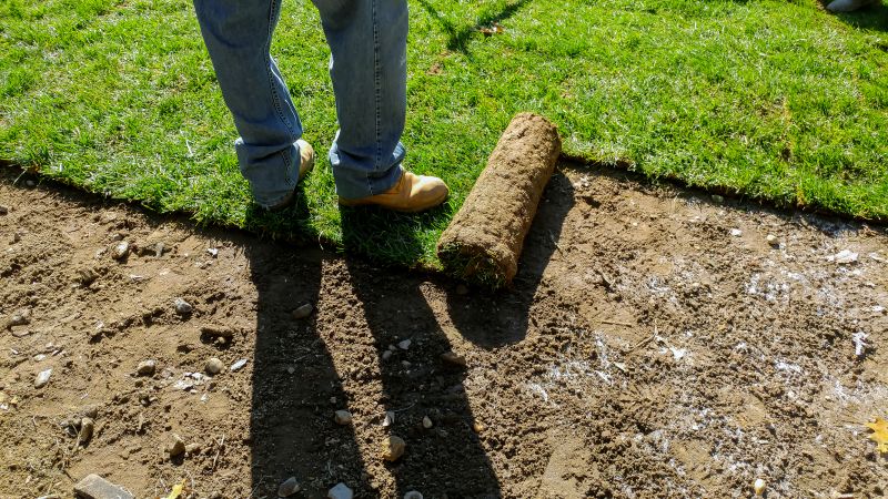Sod Installation in Honolulu, HI