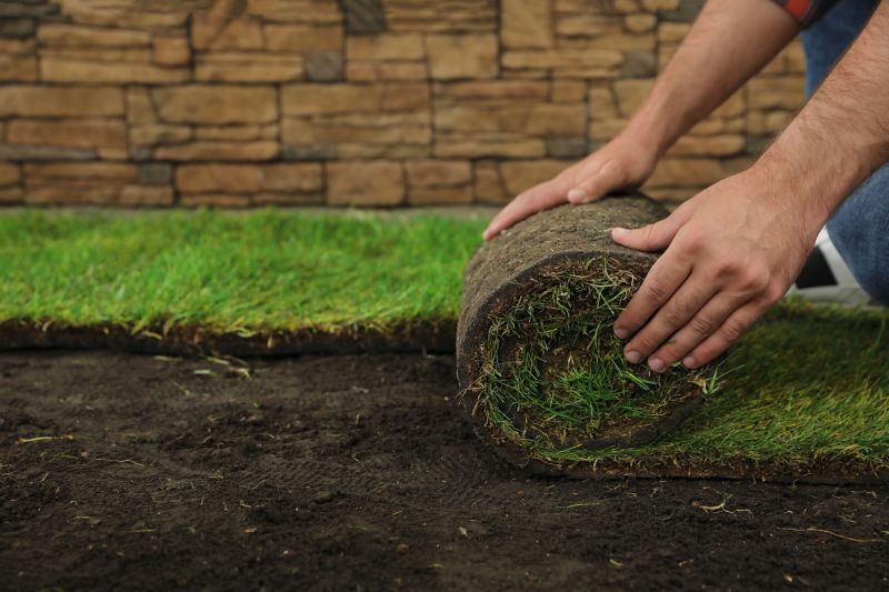 Sod Replacement in Honolulu, HI