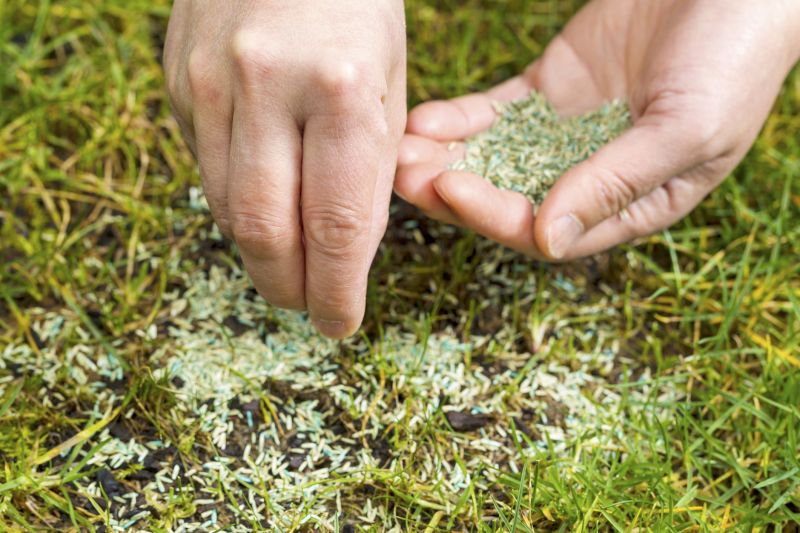 Spring Grass Seeding in Ventura County, CA