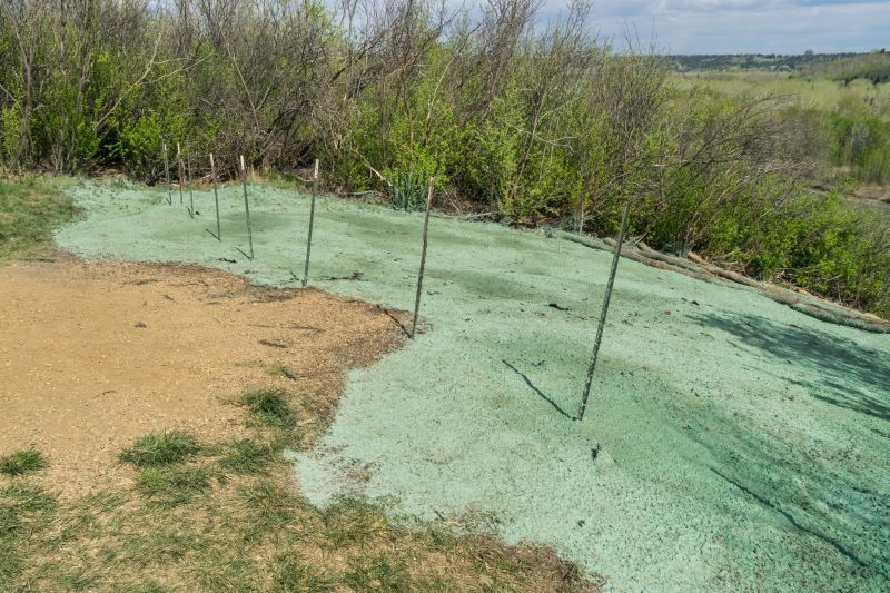 Turf Seeding in Ventura County, CA