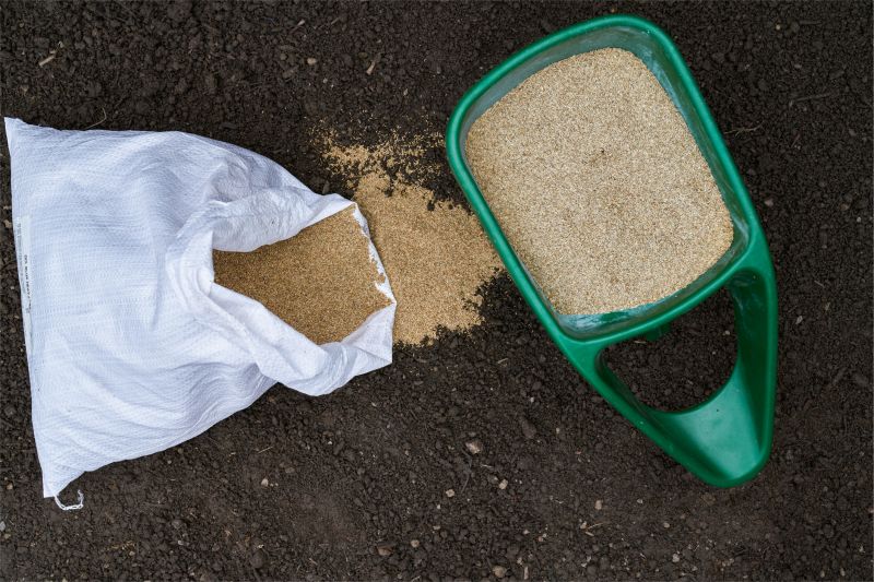 Turf Seeding in Ventura County, CA