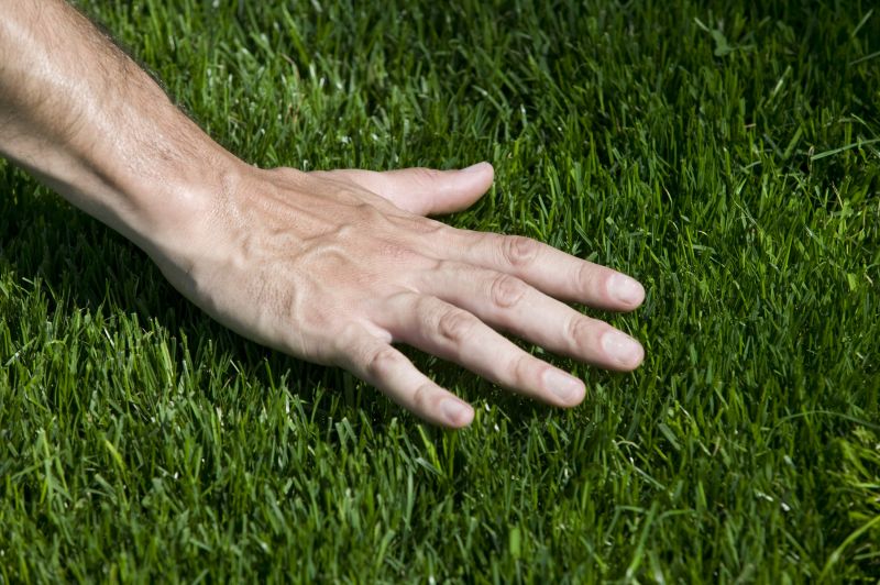 Turfing Service in Ventura County, CA