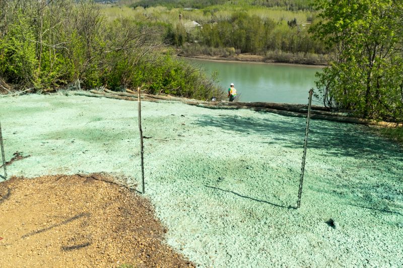 Yard Hydroseeding