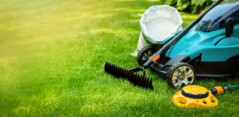 Yard Improvement Service in Ventura County, CA