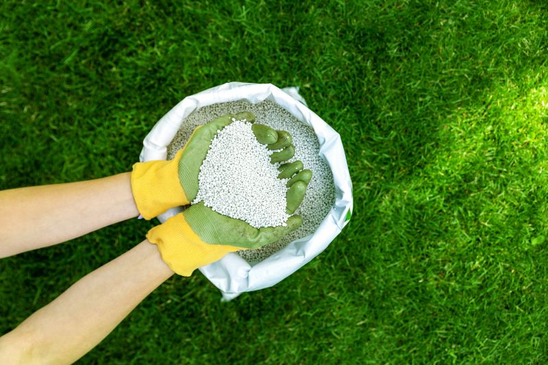 Yard Improvement Service in Honolulu, HI