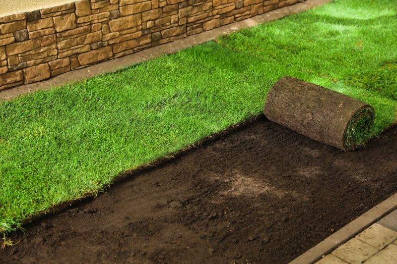 Yard Sod Installation in Ventura County, CA