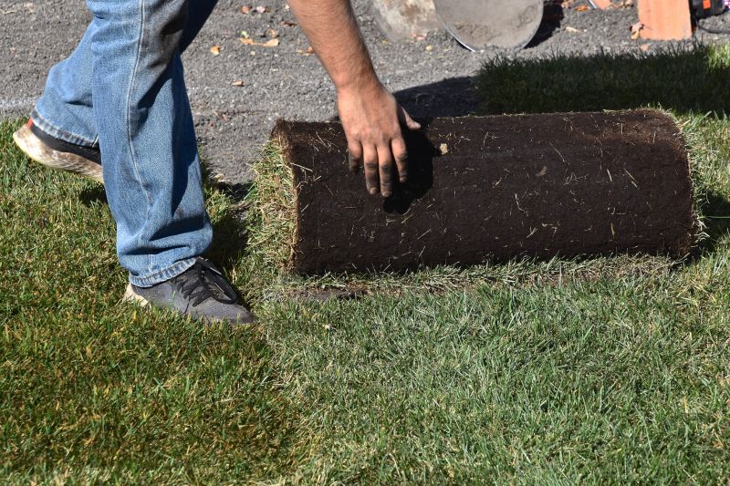 Yard Sod Replacement in Aiken, SC